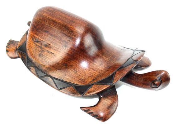 Tortue_9259